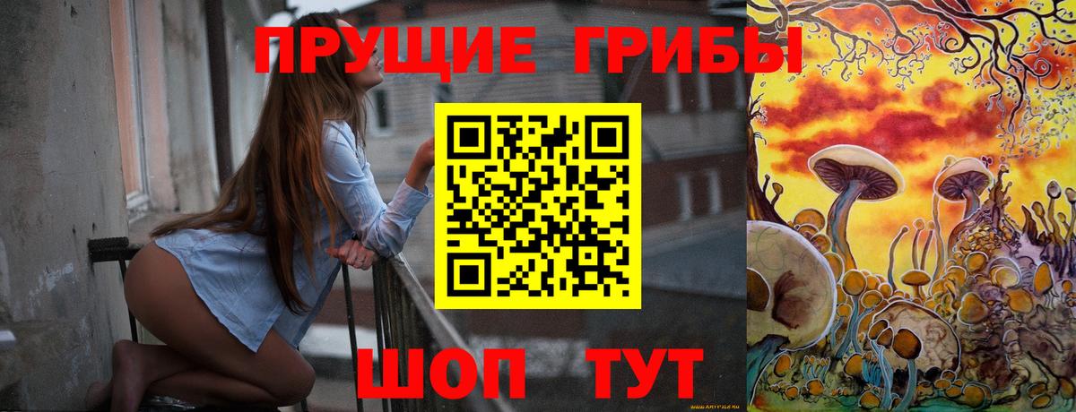 Псилоцибиновые грибы мицелий Шелехов